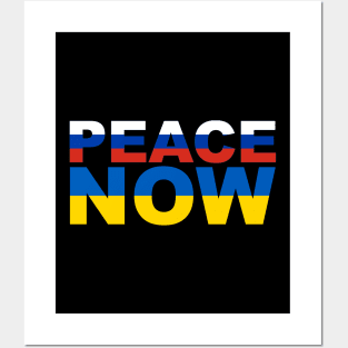 Peace for Ukraine and for the world Posters and Art